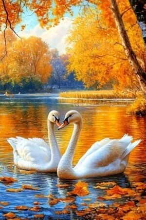 Autumn Swan Lake