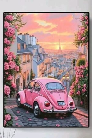 Pink car  40*60
