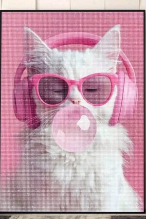 Cool Cat  - DIY Craft Project 30*40