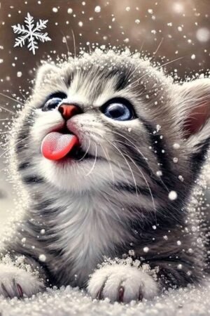 Snowflake cat - DIY Craft Project 40*40