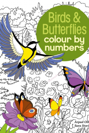 Birds & Butterflies Color By Number