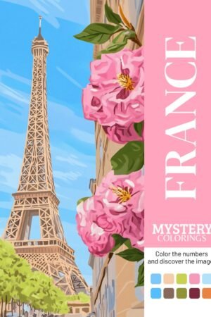 France mystery coloring book