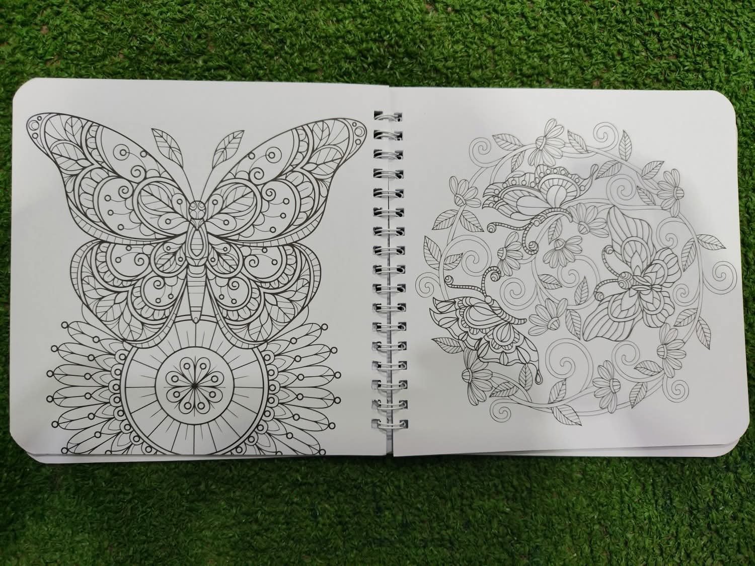 Butterflies Coloring Book - الصورة 2